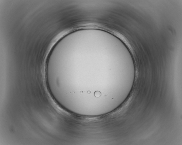X0000112911482200908240956