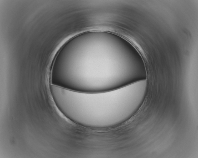 X0000112911484200908240956