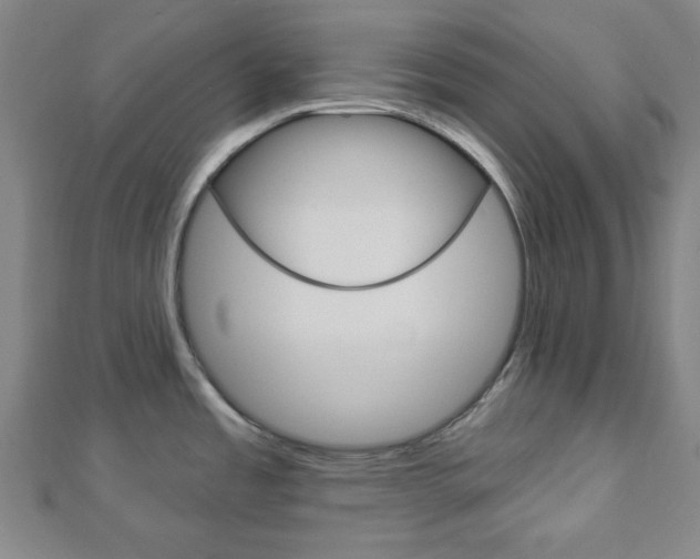 X0000112911485200908240956