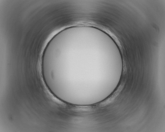 X0000112911486200908240956