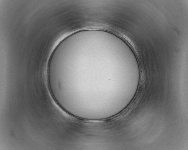 X0000112911487200908240956