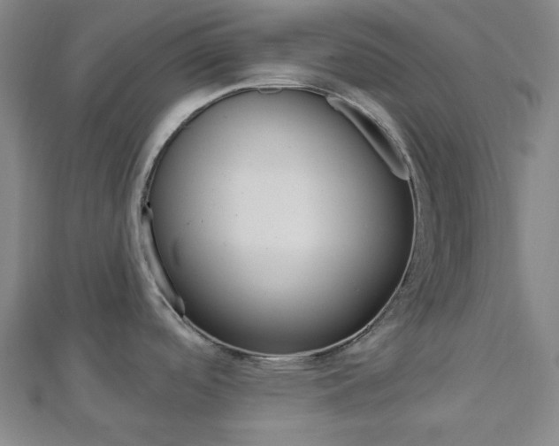 X0000112911488200908240956