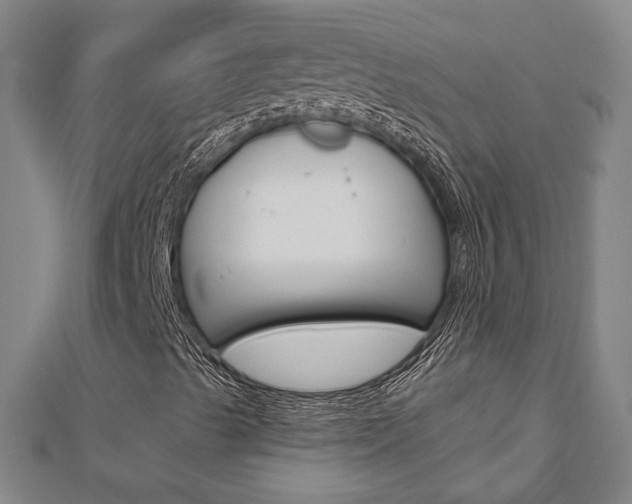 X0000112911489200908240955