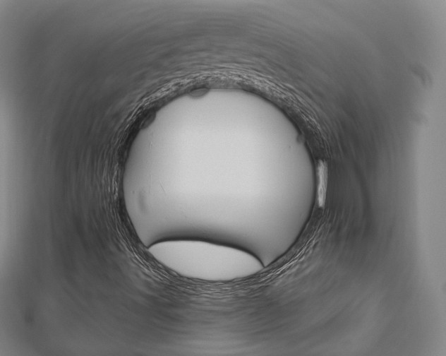 X0000112911491200908240955