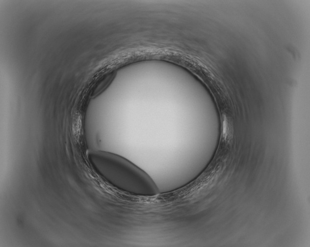 X0000112911492200908240955