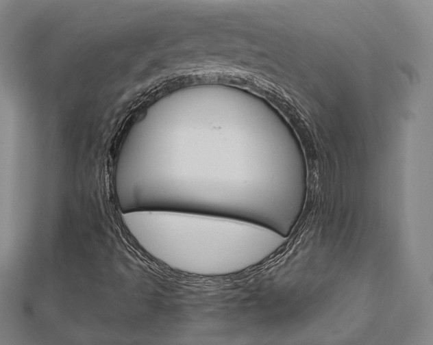 X0000112911493200908240955