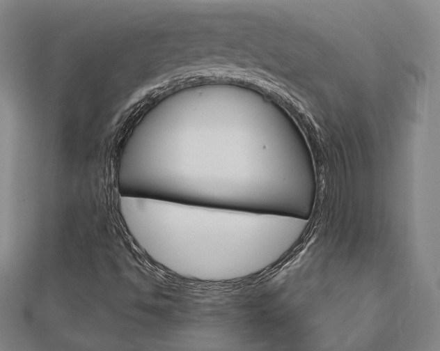 X0000112911494200908240955