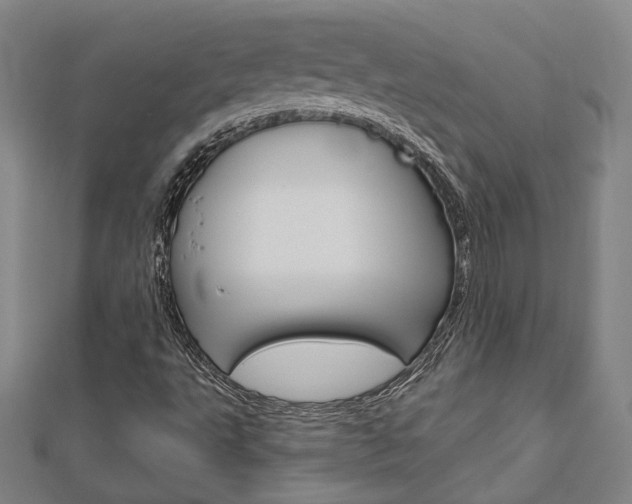 X0000112911495200908240955