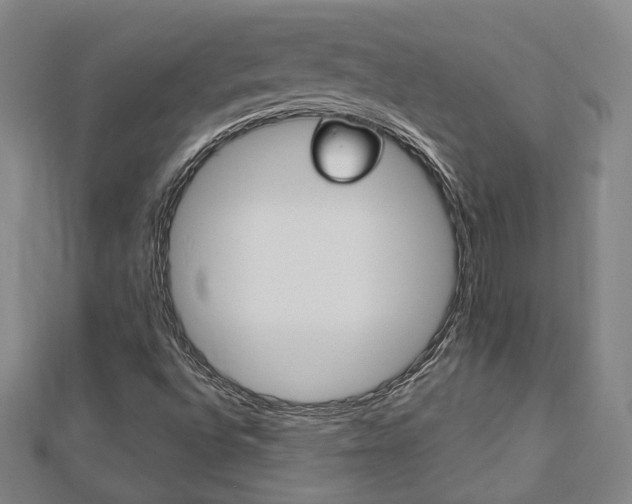 X0000112911496200908240955
