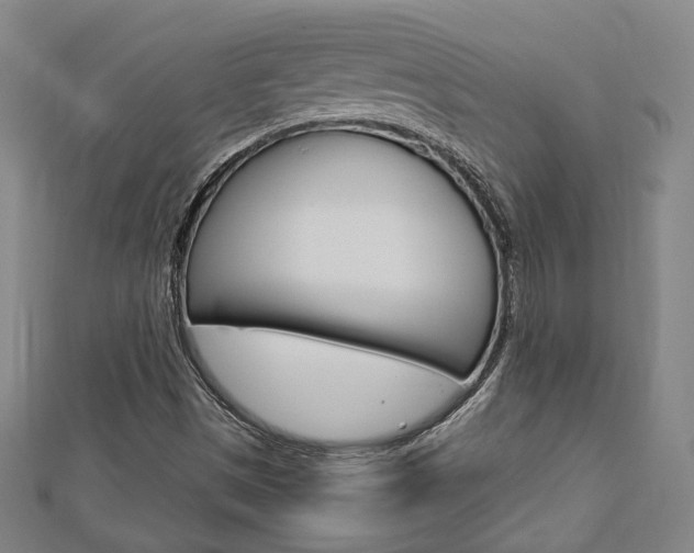 X0000112911497200908240955