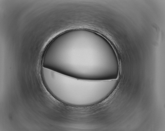 X0000112911500200908240955