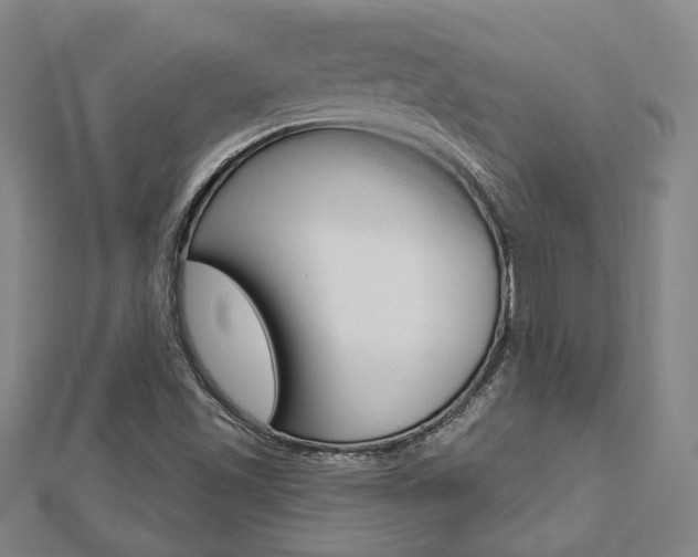X0000112911501200908240956