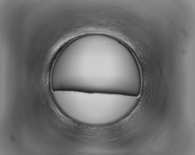 X0000112911503200908240956