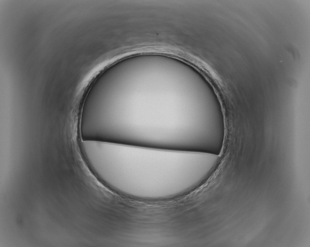 X0000112911504200908240956