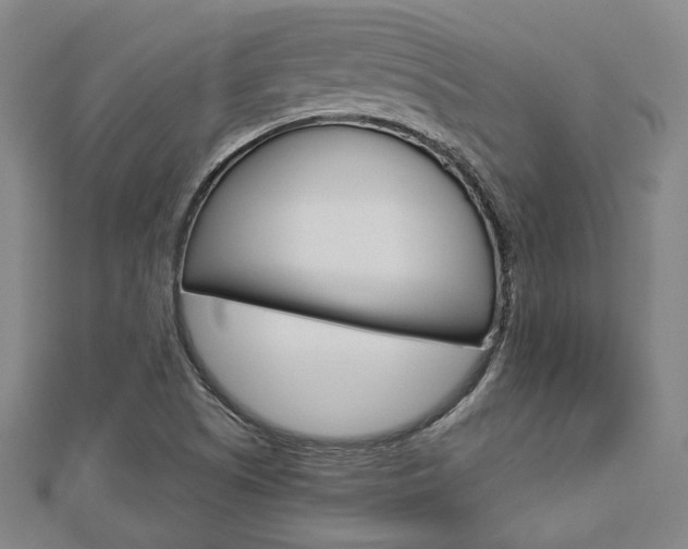 X0000112911505200908240956