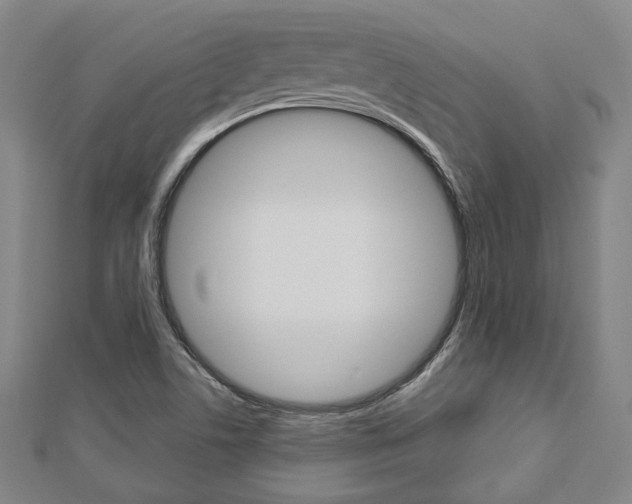X0000112911506200908240956