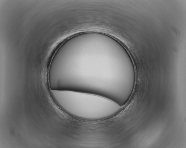 X0000112911507200908240956