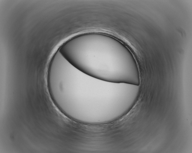 X0000112911508200908240956
