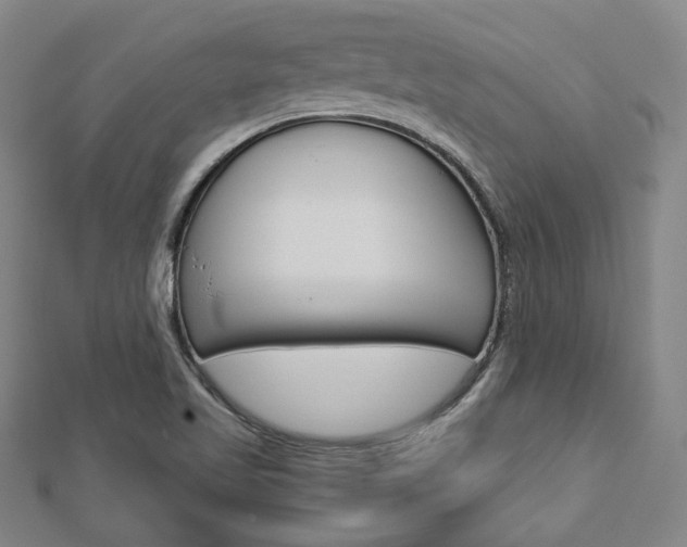 X0000112911509200908240956
