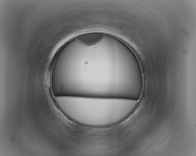 X0000112911510200908240956