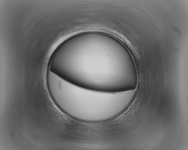 X0000112911512200908240956