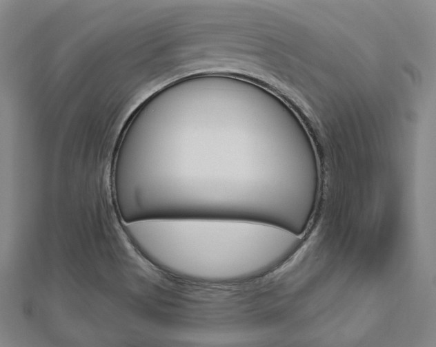 X0000112911513200908240956