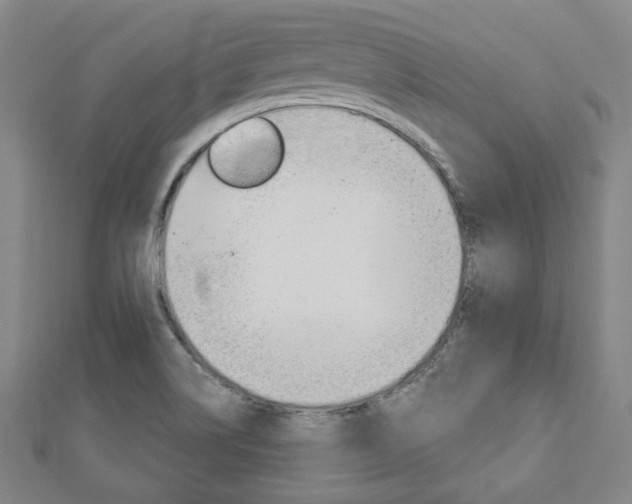 X0000112911514200908240956