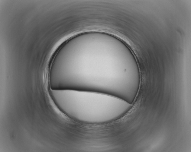 X0000112911515200908240956