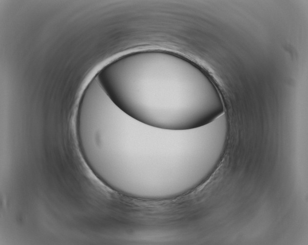X0000112911516200908240956