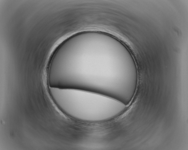X0000112911517200908240956