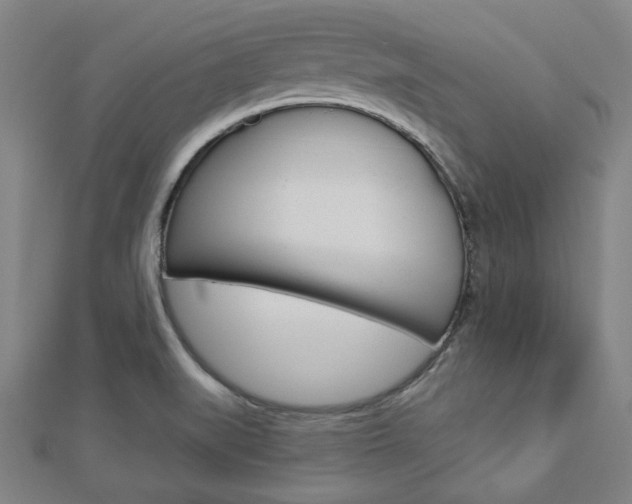 X0000112911519200908240956