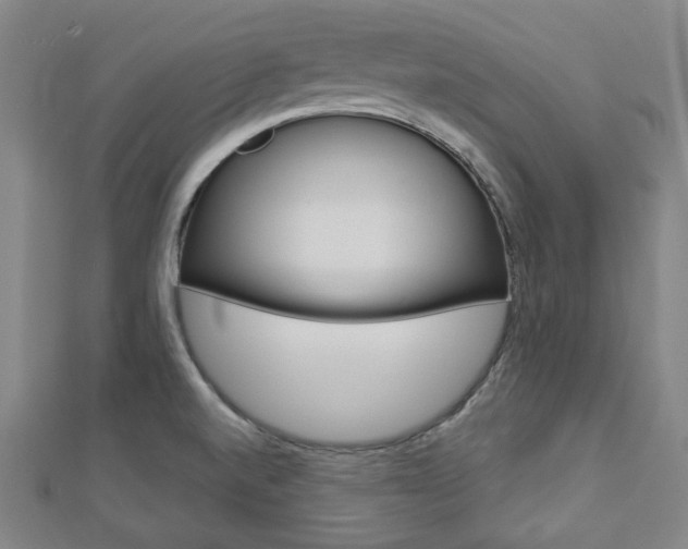 X0000112911520200908240956