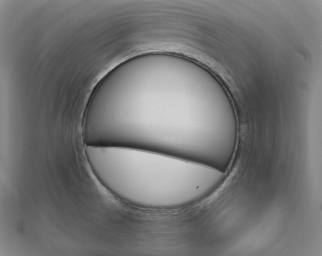X0000112911521200908240956