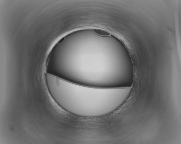 X0000112911524200908240956