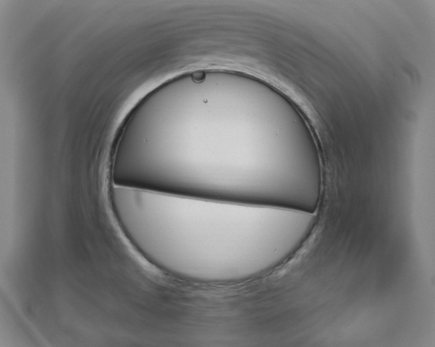 X0000112911525200908240956
