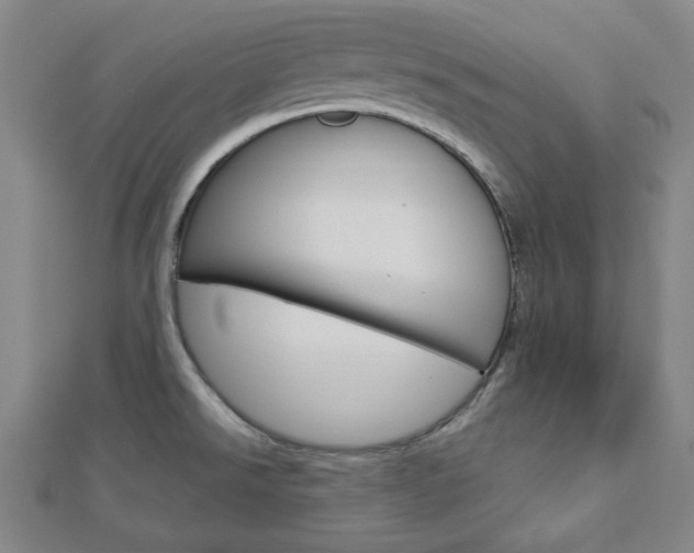 X0000112911526200908240956