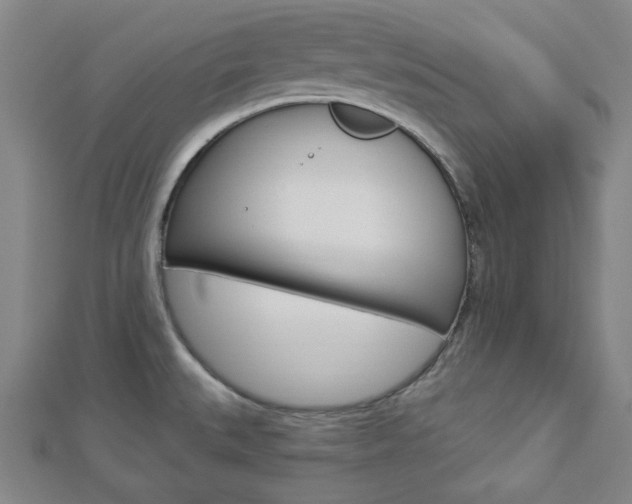X0000112911527200908240956
