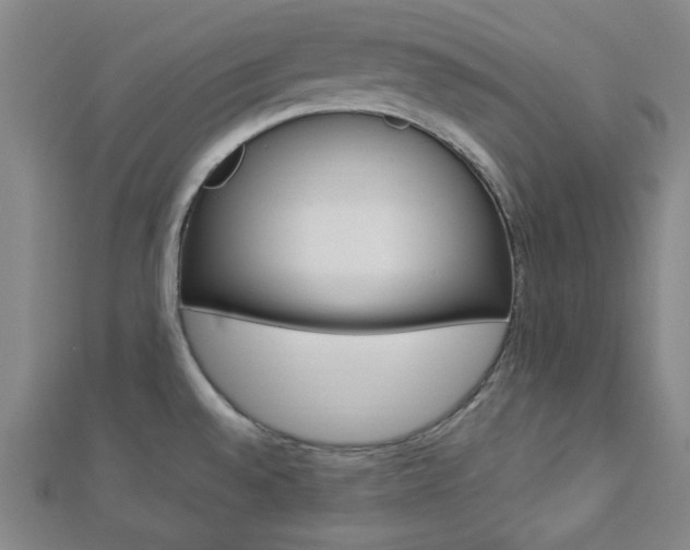 X0000112911528200908240956