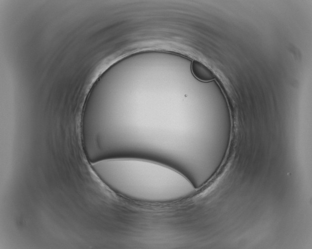 X0000112911529200908240956