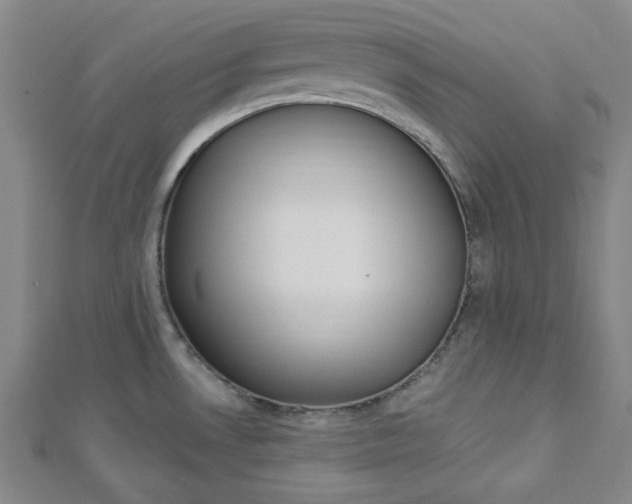 X0000112911530200908240956