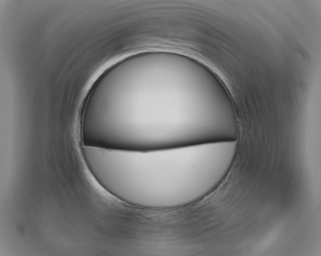X0000112911531200908240956