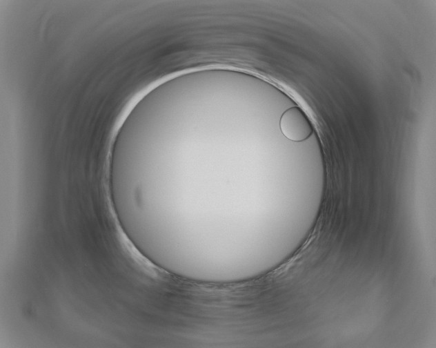 X0000112911532200908240956
