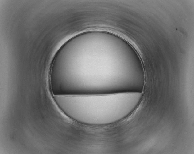 X0000112911533200908240956
