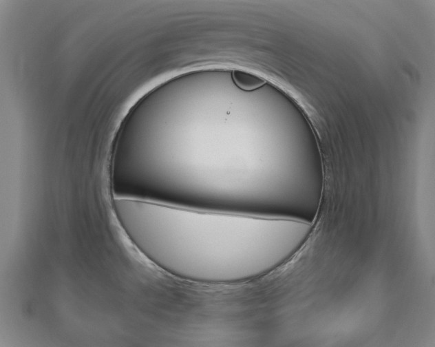 X0000112911534200908240956