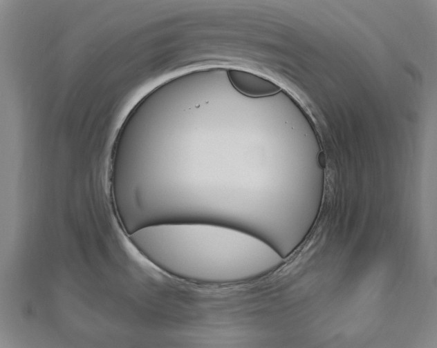 X0000112911535200908240956