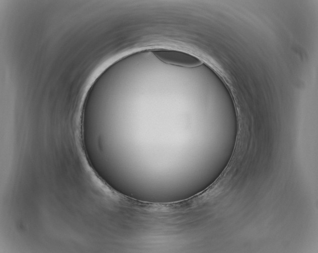X0000112911536200908240956