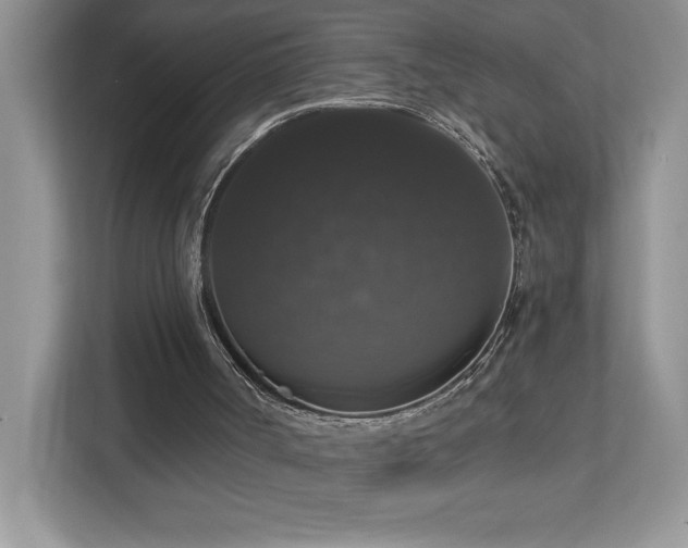 X0000112910002200908241215