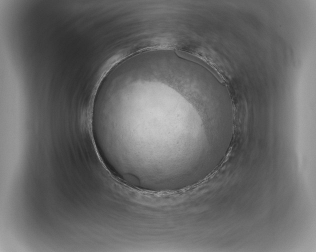 X0000112910003200908241215