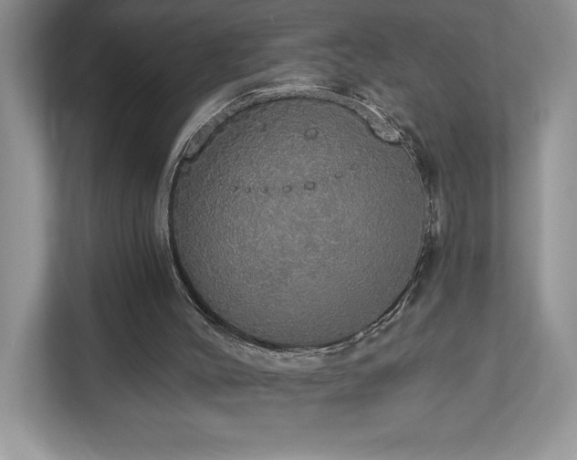 X0000112910004200908241215