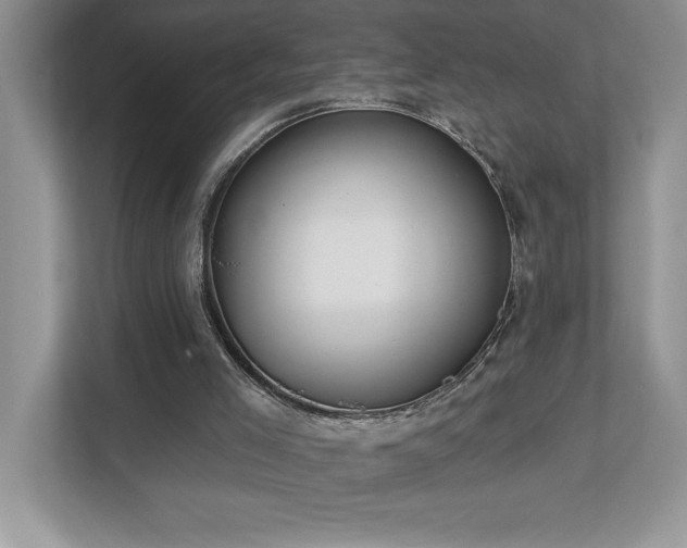 X0000112910005200908241215